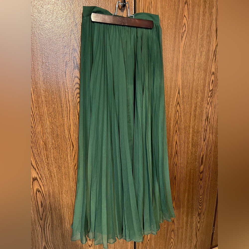 Anthropologie Pleated Green Skirt by Pankaj & Nidhi, XS